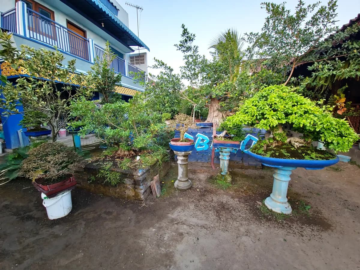 Omah Bonsai Berkah Lodoyo (OBBLO)
